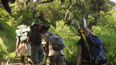 4-Day And 3 Nights Mount Meru Trekking and Hikking - Image - 25166