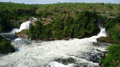 14-Day Uganda Vacation Package and Tour to See Gorillas - Image - 26668