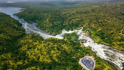 8-Day Custom Safari (Big 5) & Gorilla Trekking in Uganda - Image - 26694