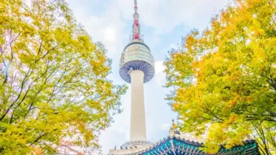 VIVU HÀN 5N4Đ: SEOUL - NAMI – KOREAN FOLK VILLAGE- TRẢI NGHIỆM ĐÀO SÂM - Image - 26360
