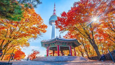 KHÁM PHÁ HÀN QUỐC 6N5Đ - BUSAN - SEOUL - NAMI - Image - 25722