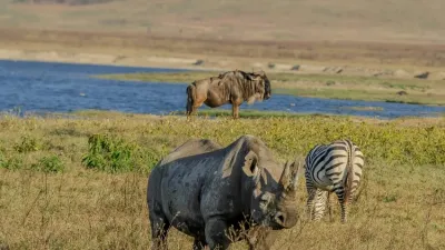 4-Day Tanzania Safari - Serengeti , Ngorongoro Crater, Tarangire - Image - 14822