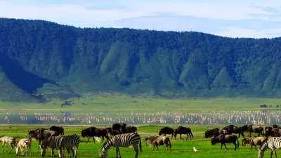 4-Day Tanzania Safari - Serengeti , Ngorongoro Crater, Tarangire - Image - 14820