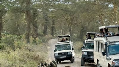 6-Day Tanzania Budget-Friendly Group Camping Adventure - Image - 25020