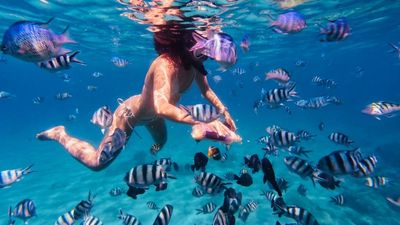 Private Snorkeling Tour Nha Trang - Image - 21760