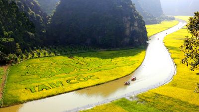Ninh Binh: Hoa Lu - Trang An - Mua Cave - Image - 14611