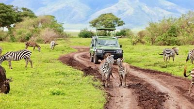 3-Day African Safari Dream – Tarangire, Crater & Manyara - Image - 17855