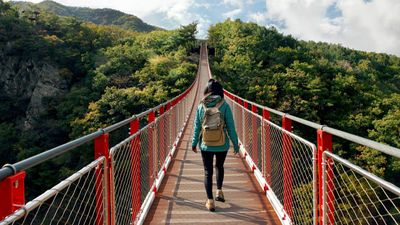 HÀN QUỐC MÙA HÈ: SEOUL – DMZ – GAMAKSAN – LÀNG CỔ EUNPYEONG - Image - 9194