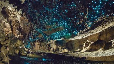 New Zealand 5D4N - Image - 11633