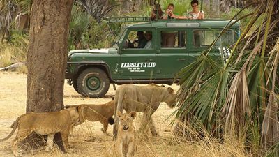 7-Day Selous Safari & Zanzibar Beach Escape – Mid-Range Tanzania Adventure - Image - 18197