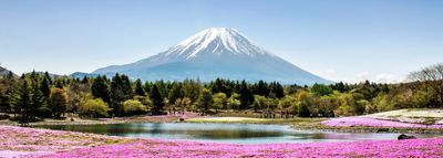 7D5N HEPI JAPAN GOLDEN ROUTE + FREE TIME TOKYO - Image - 1152