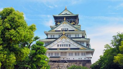 Tour Nhật Bản: Kobe | Kyoto | Osaka | Izumisano - Image - 291