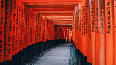 CUNG ĐƯỜNG VÀNG NHẬT BẢN: NARA – OSAKA – KYOTO – NAGOYA – PHÚ SĨ – TOKYO (NO SHOP) - Image - 10335