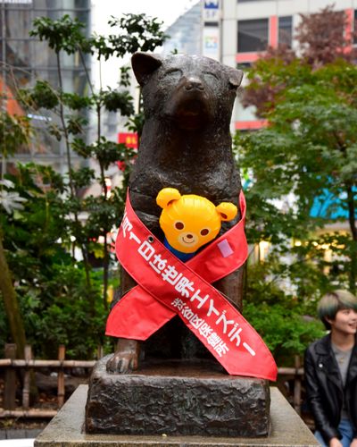 4D TOKYO JAPAN - Free & Easy - Image - 1055