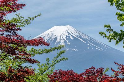 4D TOKYO JAPAN - Free & Easy - Image - 1051