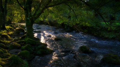 Emerald Sisterhood: Ireland Journey - Image - 12054