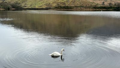 Atlantic Soul: Ireland for Women - Image - 12061