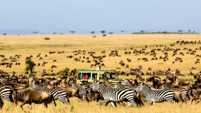 14-Day Uganda Vacation Package and Tour to See Gorillas - Image - 26666