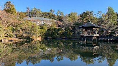 HÀ NỘI- OSAKA –KOBE–NAGOYA- KYOTO – NÚI PHÚ SĨ – LỄ HỘI HOA CHI ANH- TOKYO - Image - 8616