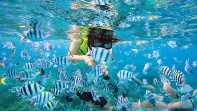 Private Snorkeling Tour Nha Trang - Image - 21761