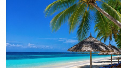 10-Days The Ultimate Wildlife and Island Paradise Experience. - Image - 17905