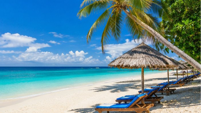 10-Days The Ultimate Wildlife and Island Paradise Experience. - Image - 17902