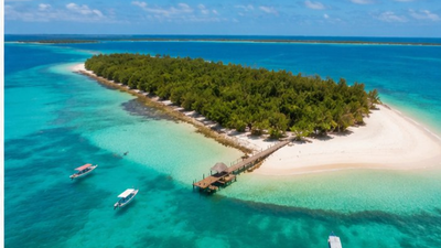 7-Day Selous Safari & Zanzibar Beach Escape – Mid-Range Tanzania Adventure - Image - 18202