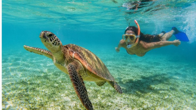 7-Day Selous Safari & Zanzibar Beach Escape – Mid-Range Tanzania Adventure - Image - 18204
