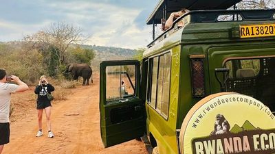 2 Days Akagera National Park Wildlife Safari - Image - 21787