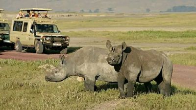 7 Days / 6 Nights - Kenya Classic Experience - Image - 18083