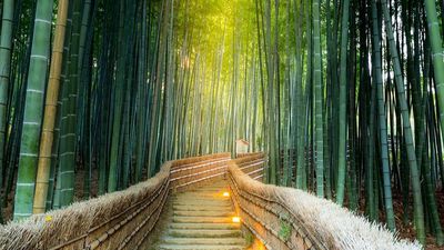 HÀ NỘI – GIFU – NAGOYA – KOBE – KYOTO – OSAKA 5N4Đ BAY VN - Image - 6754