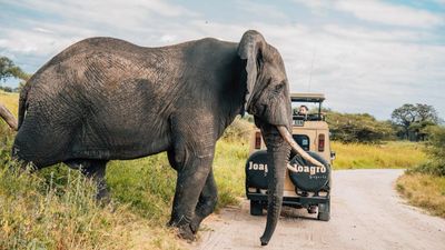 7-Day Exclusive Luxury Safaris - Image - 22030