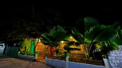 Maldives Island Escape - Turtle Snorkelling, Dolphin Cruise & Beach BBQ | 5 Days - Image - 15119
