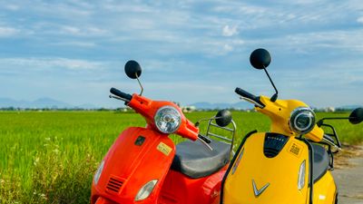 ELECTRIC SCOOTER COUNTRYSIDE ADVENTURE IN HOI AN - Image - 20538