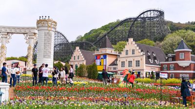 (BAY SÁNG - VỀ TỐI) SEOUL- EVERLAND –NAMI ISLAND – THƯ VIỆN SÁCH STARFIELD - Image - 6943