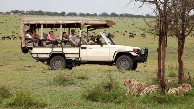 7- Days Big Five Luxury Safari - Image - 15189