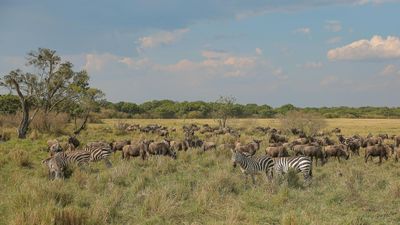 7 DAYS PRIVATE SAFARI - Image - 25274