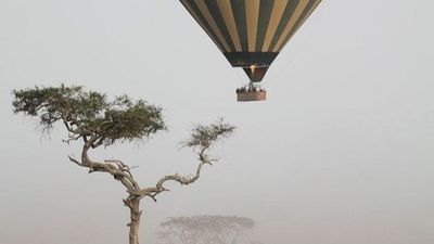 3-Day The Calving Migration Zanzibar to Ndutu - Image - 25056