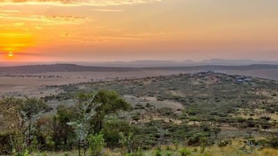 7 Day Great Migration and Big Five safari experience - Image - 11791