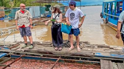 MEKONG DELTA OVERVIEW: My Tho - Ben Tre ( Full Day ) - Image - 20077