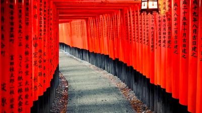 (VỀ CHIỀU) OSAKA – KOBE – KYOTO – NAGOYA – NÚI PHÚ SĨ – TOKYO MÙA HOA ANH ĐÀO - Image - 8583