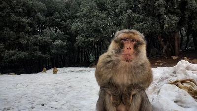 4-Day Private Tour from Fès to Marrakech via Sahara Desert - Image - 15098
