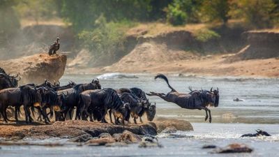 Tour Châu Phi: Hành trình khám phá Kenya - Namibia 13N12Đ - Image - 25381