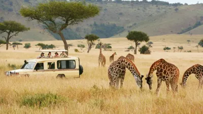 6-Day Kenya Safari: Amboseli, Lake Naivasha and Maasai Mara - Image - 11245
