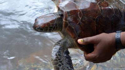 4-Day Zanzibar Mid-Range Beach Holiday – Island Escape from Kenya or Tanzania Mainland - Image - 18061