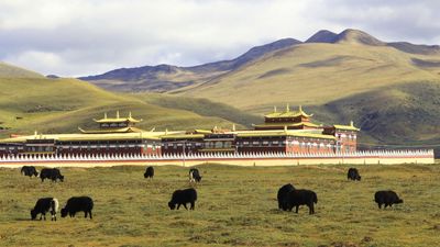 HÀ NỘI - THÀNH ĐÔ – TÂN ĐÔ KIỀU - ĐẠO THÀNH - Á ĐINH 6N5Đ - Image - 13545
