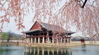 KHÁM PHÁ HÀN QUỐC 6N5Đ - BUSAN - SEOUL - NAMI - Image - 25723