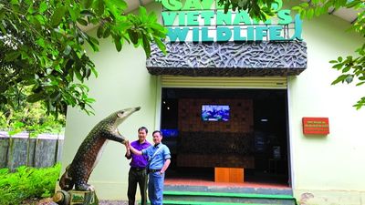 Trekking rừng Cúc Phương mùa bướm đom đóm 2N1Đ - Image - 13470