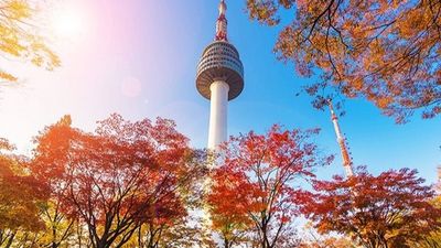 Đón Tết 2026 tại Hàn Quốc: Seoul - Lotte World - Trượt tuyết Elysian - Thư viện Starfield - Image - 6624