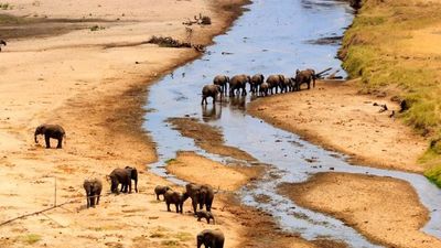 3-Day Family & Couple Safari – Lakes, Crater & Savannah - Image - 21808